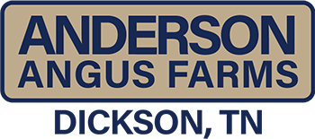 Anderson Angus Farms logo
